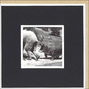 O[eBOJ[h ړI mNʐ^ N[Y[u]EǂJov 147×147mm t bZ[WJ[h(CLG4049)