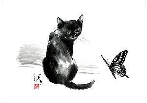 |XgJ[h luXv105×150mm L lR nG A[g ObY 킢(HW-035)