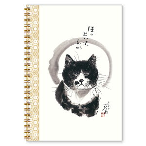 A5Om[g luقƂĂ񂩁v LnG 100P r  ㎿ Xe[Vi[