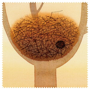 Kl@ N[jONX CXg Rca m|̑u[ꎞv YN[i[ G{ ʉ(KYG-117)