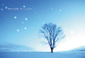 |XgJ[h3Zbg uڊo߂ΊC̒v(kC l)~ Xւ͂ bZ[WJ[h ʐ^ʕML(KM003)