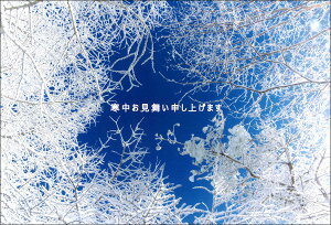 |XgJ[h3Zbg uAoi Sora wav(茧 ) ~ Xւ͂ bZ[WJ[h ʐ^ʕML(KM038)