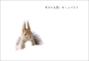 |XgJ[h3Zbg uThink about youv(kC) ~ Xւ͂ bZ[WJ[h ʐ^ʕML(KM038)