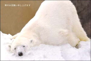 |XgJ[h3Zbg uObXEEEv(kC R)~ Xւ͂ bZ[WJ[h ʐ^ʕML(KM020)