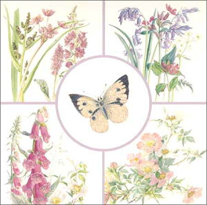 O[eBOJ[hy}U[YfC/̓zuƉԁviMDII0002j