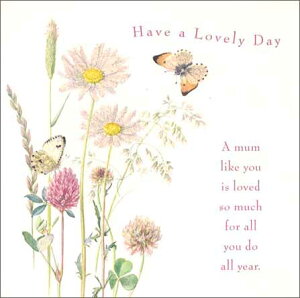 O[eBOJ[hy}U[YfC/̓zuXƉԁviMDII0004j