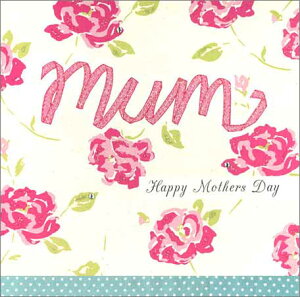 O[eBOJ[hy}U[YfC/̓zuԂԁvyTCY/165×165mmi`OjzyJ[hTCY/160×160mmzy̐F/zy/nzyLL̃tb^[Hzy