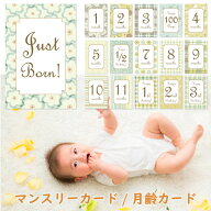 インスタ用ベビーマンスリーカード「GREEN PATTERNS」月齢カード/赤ちゃん/ベビーカード/メッセージカー…
