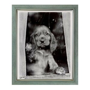 mNʐ^uӂ̎qv|X^[zy~gXeCzǊ|t[  ItBX CeA Əj(FR-ADP501)