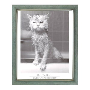 mNʐ^uo[ĝCv|X^[zy~gXeCzǊ|t[  ItBX CeA Əj(FR-ADP505)