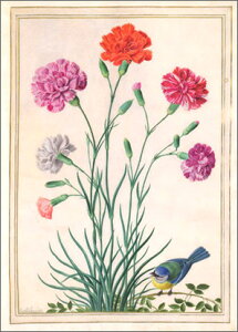 |XgJ[h A[g EH^[uJ[l[VƃAIKv105×148mm  bZ[WJ[h Xւ͂ RNV(VD9097)