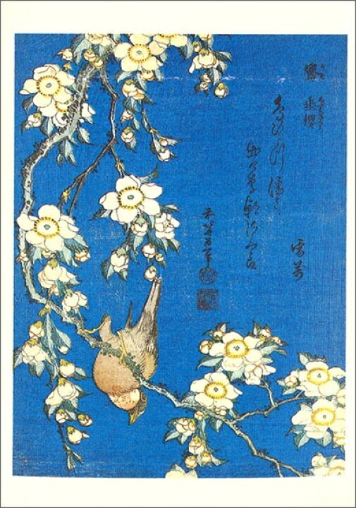 楽天市場 ポストカード アート 葛飾北斎 桜の木にとまるウソ 150 105mm 名画 メッセージカード 郵便はがき コレクション Hzn26 ユージニア 楽天市場店
