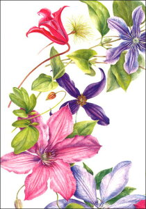 |XgJ[h A[g TbNXuN}`X̉ԗցv105×150mm  bZ[WJ[h Xւ͂ RNV(BK3324)