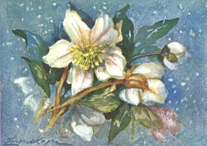 |XgJ[h A[g NX}X P[K[uNX}X[Yv105×148mm   bZ[WJ[h Xւ͂ RNV(VD7457)