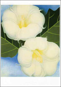 |XgJ[h A[g IL[tu̃Voi`EZATKIƗ΂̗tƐv105×148mm  bZ[WJ[h Xւ͂ RNV(VD694)