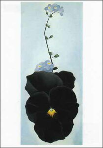 |XgJ[h A[g IL[tupW[v105×148mm  bZ[WJ[h Xւ͂ RNV(VD4046)