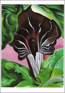 |XgJ[h A[g IL[tuWbNECEUEvsbgv105×148mm  bZ[WJ[h Xւ͂ RNV(VD4523)