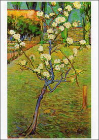 ポストカード アート ゴッホ「小さな木」105×148mm 名画 メッセージカード 郵便はがき コレクション(VD5128)