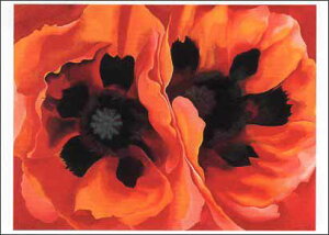 ポストカード アート オキーフ「ポピー」105×148mm 名画 メッセージカード 郵便はがき コレクション(VD5730)