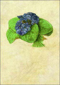 |XgJ[h A[g f[[uX~v105×148mm  bZ[WJ[h Xւ͂ RNV(VD5922)