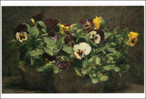 |XgJ[h A[g gD[upW[v105×148mm   bZ[WJ[h Xւ͂ RNV(VD6514)