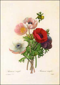 |XgJ[h A[g hD[euAllv105×148mm  bZ[WJ[h Xւ͂ RNV(VD8670)