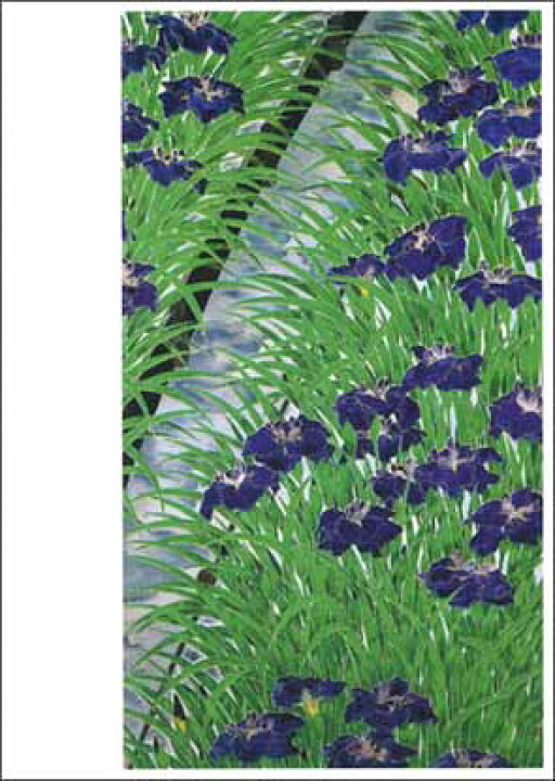 楽天市場 ポストカード アート 福田平八郎 花菖蒲 ハナショウブ 148 105mm 名画 メッセージカード 郵便はがき コレクション Vd43 ユージニア 楽天市場店