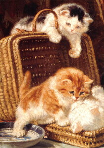 |XgJ[h A[g i[jbvuVԎqLv105×150mm   bZ[WJ[h Xւ͂ RNV(BK612)