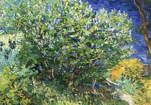 |XgJ[h A[g SbzuCbNubVv105×150mm  bZ[WJ[h Xւ͂ RNV(BK692)