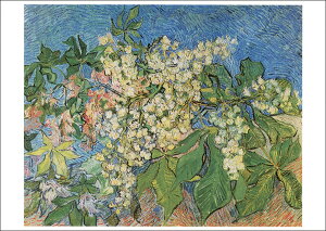 |XgJ[h A[g Sbzuԍ炭I̎}v105×148mm  bZ[WJ[h Xւ͂ RNV(VD2660)