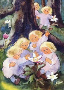 �|�X�g�J�[�h �A�[�g �E�F�[�o�[�u���Č��āA�A�l���l�̉Ԃ��炢�Ă�v105×148mm ���� ���b�Z�[�W�J�[�h �X�ւ͂��� �R���N�V����(VD4989)