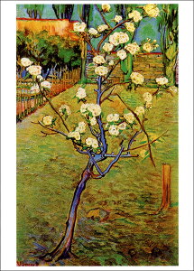 |XgJ[h A[g SbzuȖ؁v105×148mm  bZ[WJ[h Xւ͂ RNV(VD5128)