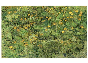 |XgJ[h A[g SbzuF̉Ԕv105×148mm  bZ[WJ[h Xւ͂ RNV(VD5870)