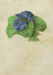 |XgJ[h A[g f[[uX~v105×148mm  bZ[WJ[h Xւ͂ RNV(VD5922)