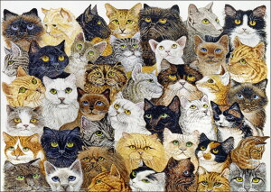 |XgJ[h A[g XRbguL̕Ev105×148mm   bZ[WJ[h Xւ͂ RNV(VD9231)