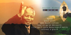 O|XgJ[h J[ʐ^ OtBbNfUCul\E}fv115×230mm bZ[WJ[h Xւ͂(CL4024)