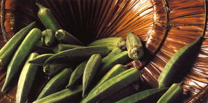 O|XgJ[h J[ʐ^ W[EsAEfBeuINv115×230mm bZ[WJ[h Xւ͂(CL4171)