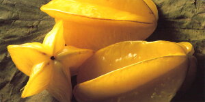 O|XgJ[h J[ʐ^ W[EsAEfBeuX^[t[cv115×230mm bZ[WJ[h Xւ͂(CL4174)