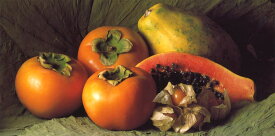 ロングポストカード カラー写真 ジーン・ピア・ディテルラン「柿とパパイヤ」115×230mm メッセージカード 郵便はがき(CL4175)