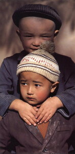 O|XgJ[h J[ʐ^ PrENOuľZv115×230mm bZ[WJ[h Xւ͂(CL4250)