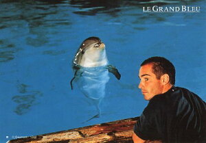 |XgJ[h Vl}uOEu[v(RfBf)uW=}NEo[v(jD)105×150mm bZ[WJ[h Xւ͂ re[W Be[W