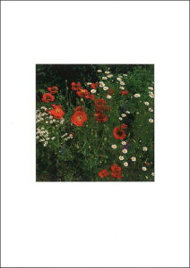 |XgJ[h J[ʐ^u|s[ƃfCW[̉ԁv105×150mm Xւ͂ bZ[WJ[h f{XH