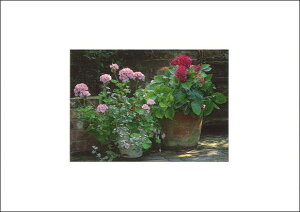 |XgJ[h J[ʐ^uÂwZ̉Ƃɍ炭ԁv105×150mm Xւ͂ bZ[WJ[h f{XH