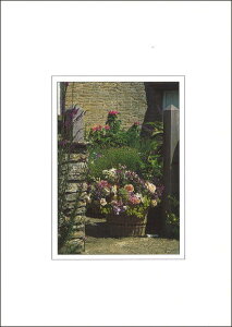 |XgJ[h J[ʐ^uoXPbg̃ov105×150mm Xւ͂ bZ[WJ[h f{XH