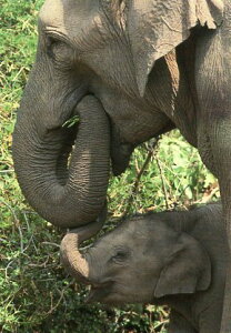 |XgJ[h J[ʐ^uv105×150mm bZ[WJ[h Xւ͂