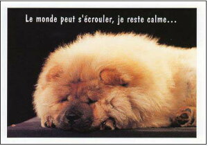 |XgJ[h J[ʐ^uQĂqv105×150mm Xւ͂ bZ[WJ[h