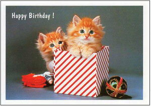 |XgJ[h J[ʐ^u̒̎qLv105×150mm Xւ͂ bZ[WJ[h