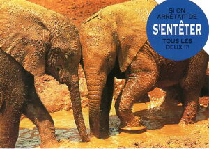 _CJbg|XgJ[h J[ʐ^uDђ̃]Ev105×150mm Xւ͂bZ[WJ[h