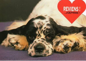 _CJbg|XgJ[h J[ʐ^uĂ錢v105×150mm Xւ͂bZ[WJ[h