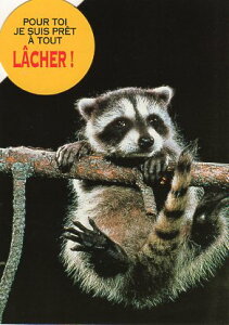 _CJbg|XgJ[h J[ʐ^u؂ɂ悶oACO}v105×150mm Xւ͂bZ[WJ[h